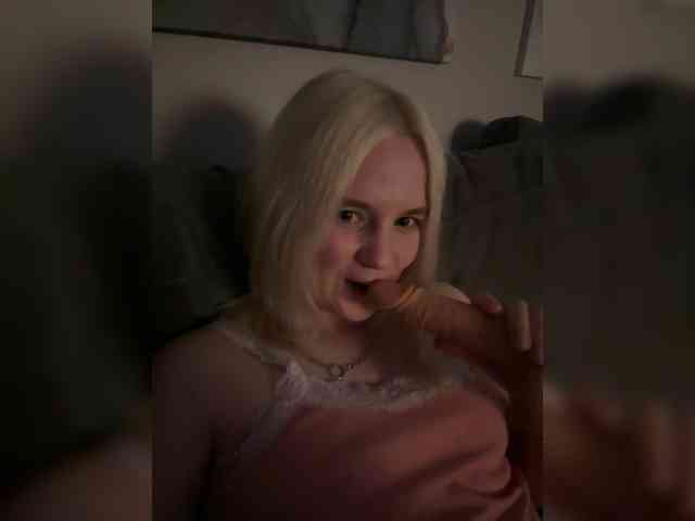 Lerek webcam