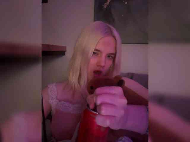 Lerek webcam