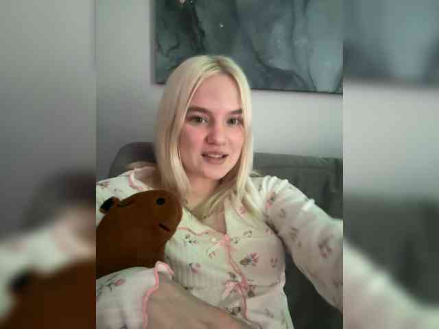 Lerek webcam
