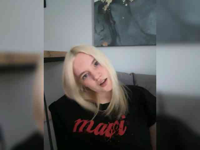 Lerek webcam