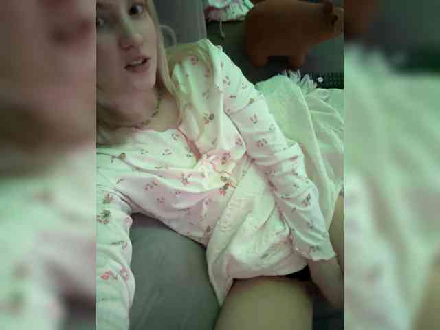 Lerek webcam