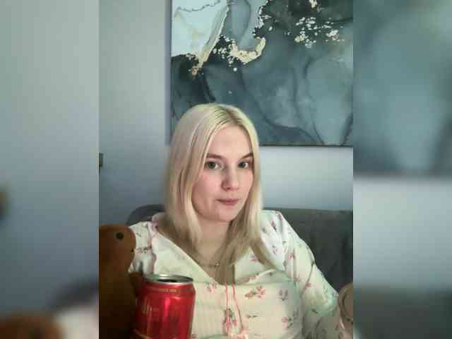 Lerek webcam