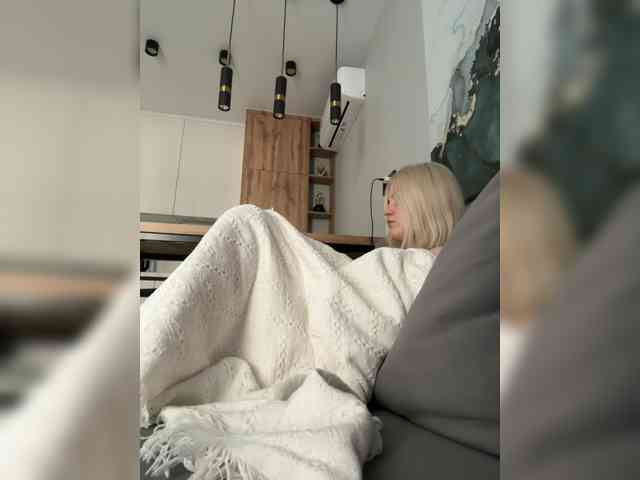 Lerek webcam