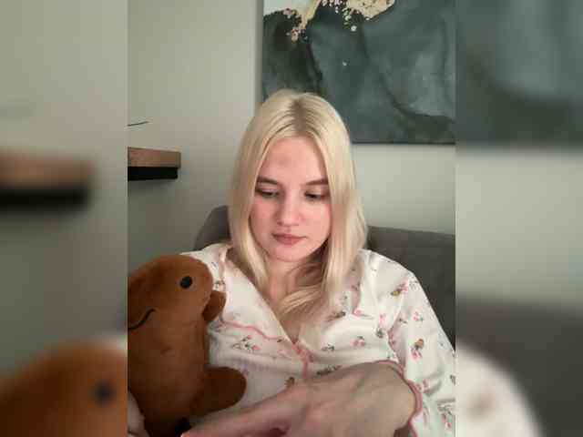 Lerek webcam