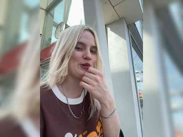 Lerek webcam