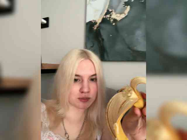 Lerek webcam