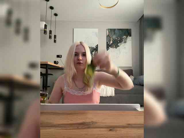 Lerek webcam