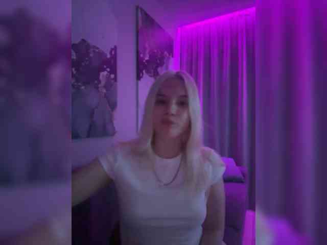 Lerek webcam