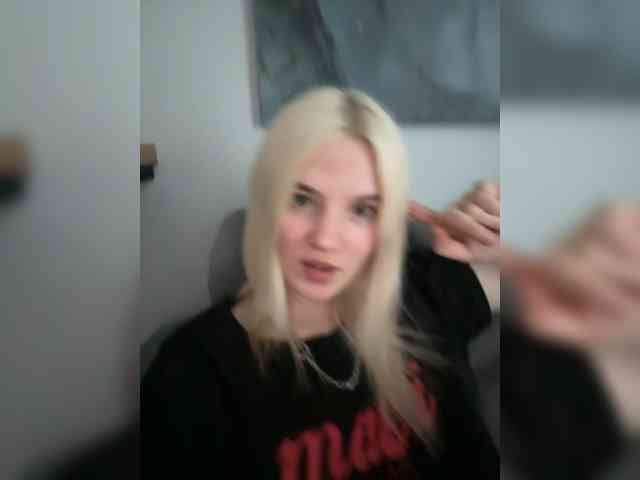 Lerek webcam
