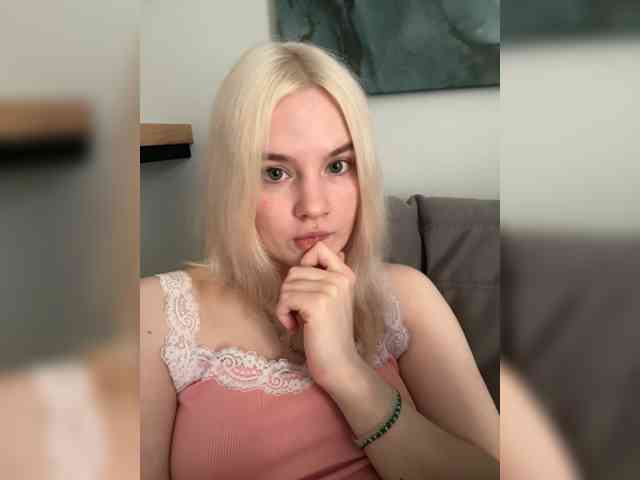 Lerek webcam