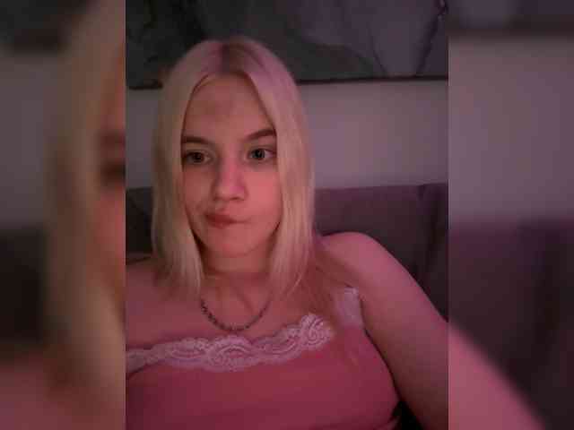 Lerek webcam