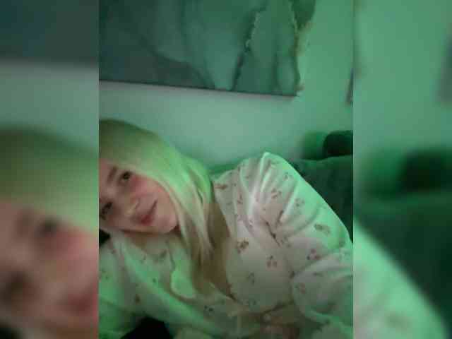 Lerek webcam
