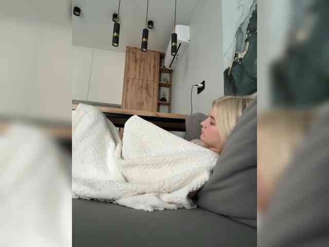 Lerek webcam