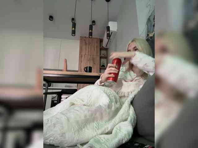 Lerek webcam