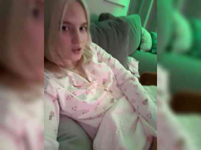 Lerek webcam
