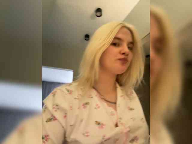 Lerek webcam
