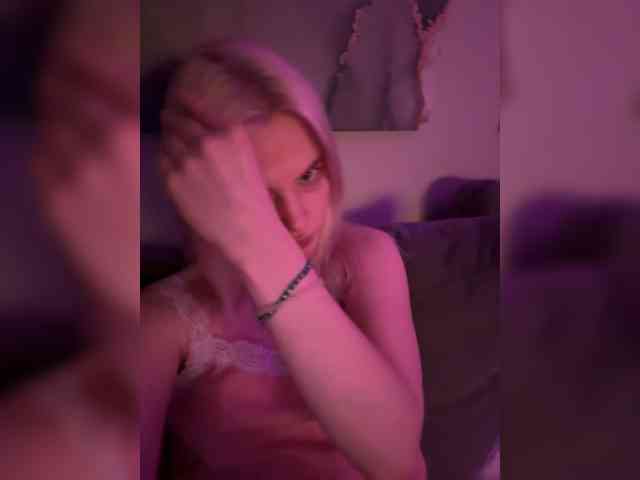 Lerek webcam