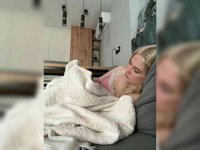 Lerek webcam