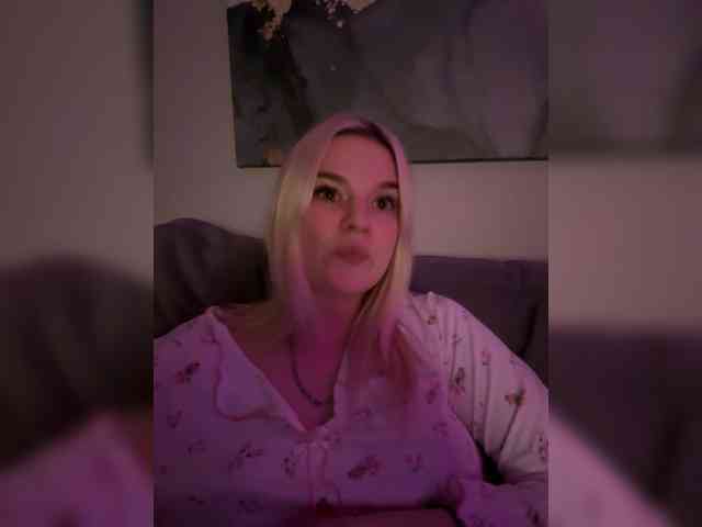 Lerek webcam