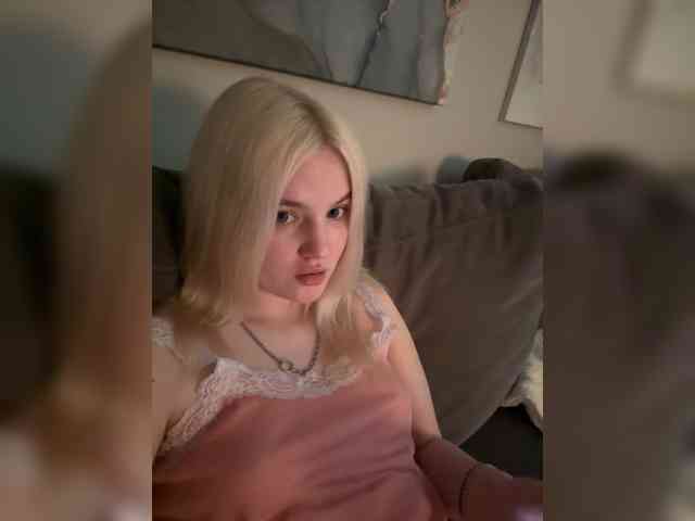 Lerek webcam