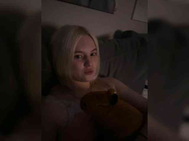 Lerek webcam