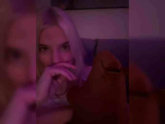 Lerek webcam