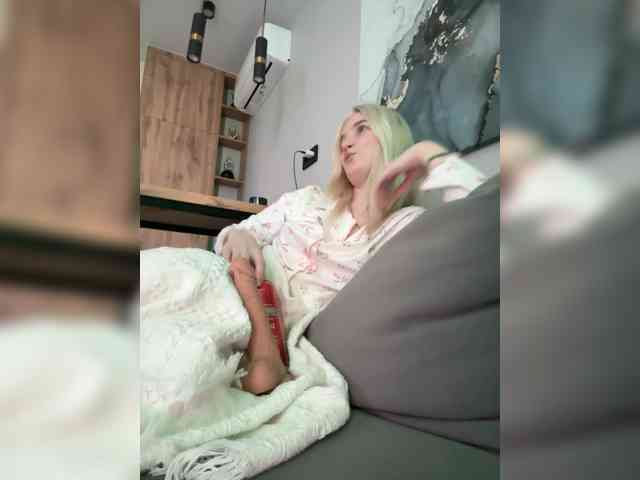 Lerek webcam