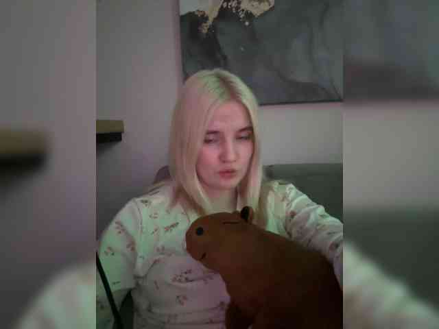 Lerek webcam