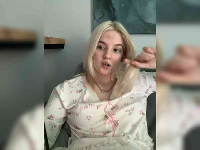 Lerek webcam