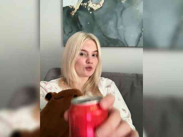 Lerek webcam