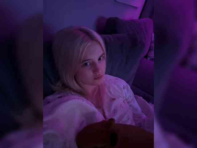 Lerek webcam