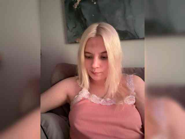 Lerek webcam