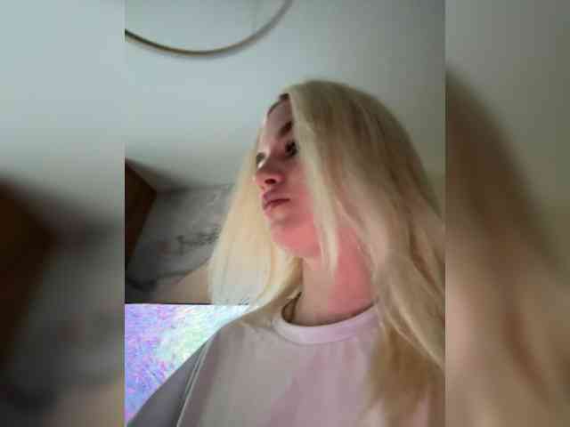 Lerek webcam