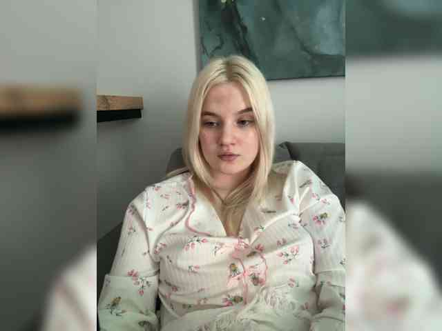 Lerek webcam