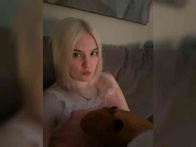 Lerek webcam