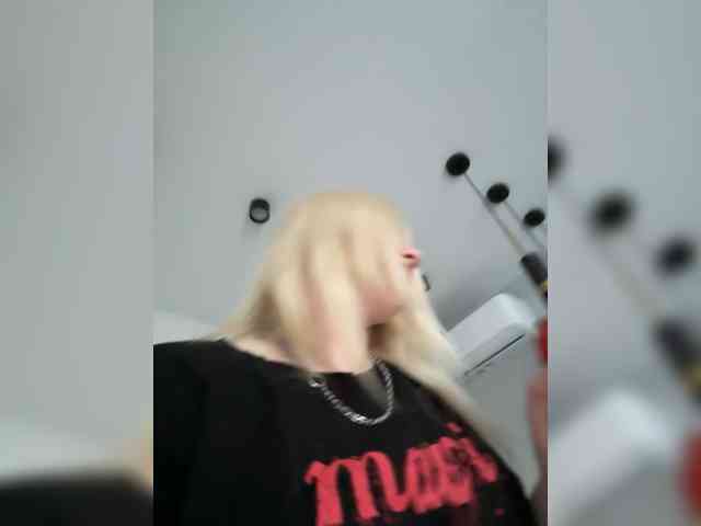 Lerek webcam