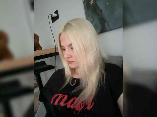 Lerek webcam