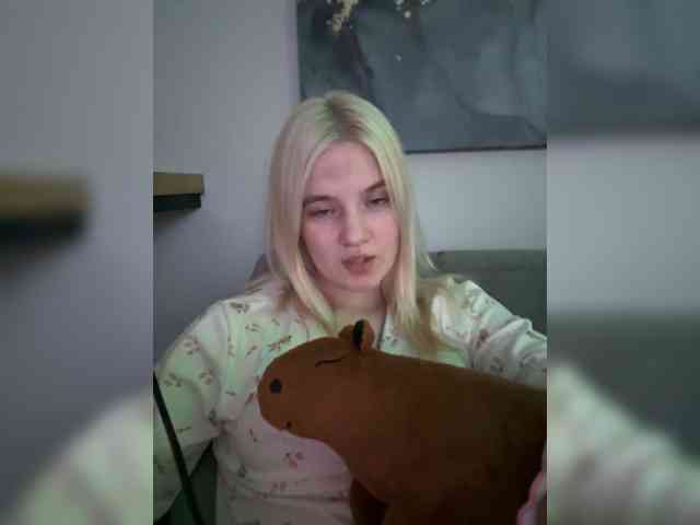 Lerek webcam