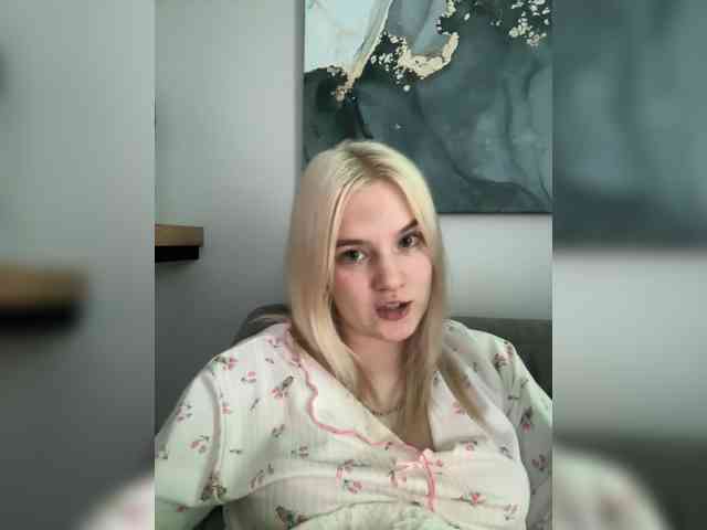 Lerek webcam