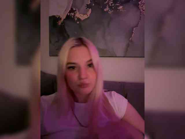 Lerek webcam