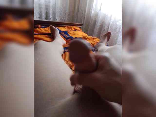 Max35b
