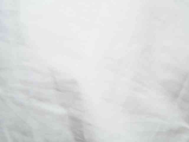 AntoniaCapri webcam