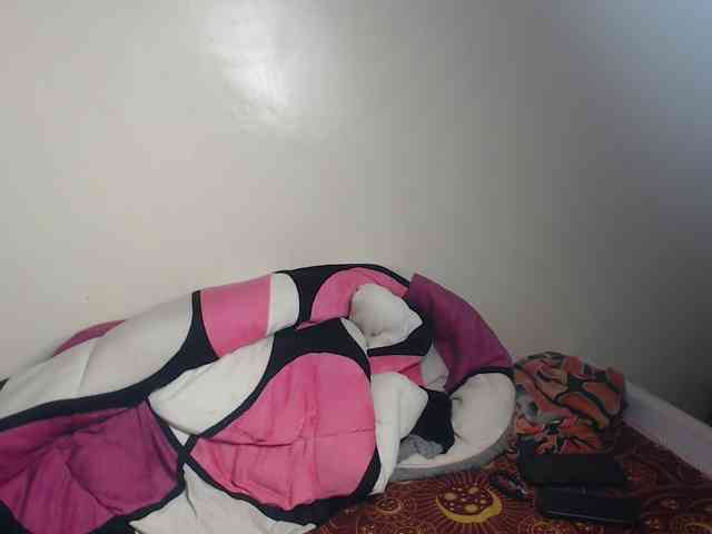 Petitebeauty webcam