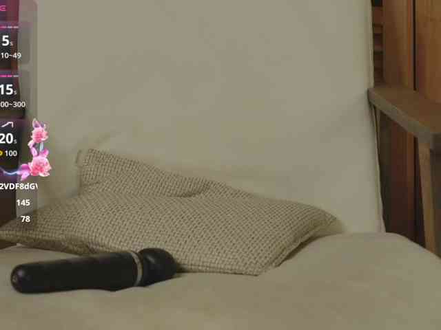 SkyNyxx webcam