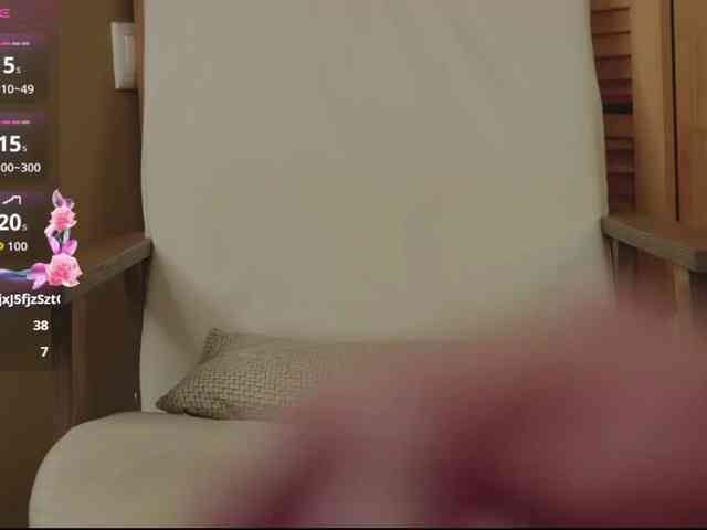 SkyNyxx webcam