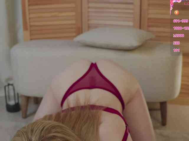 SkyNyxx webcam