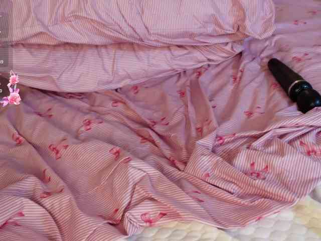SkyNyxx webcam