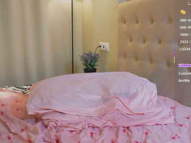 SkyNyxx webcam