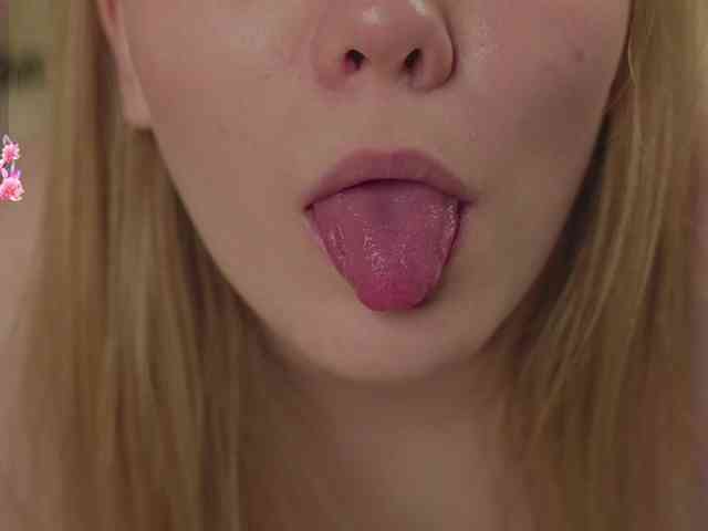 SkyNyxx webcam