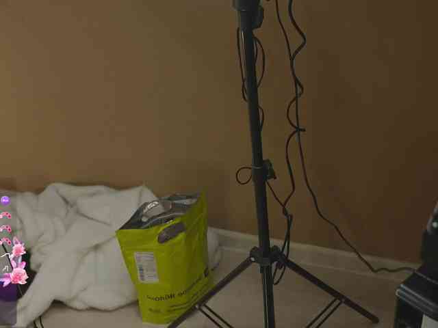 SkyNyxx webcam